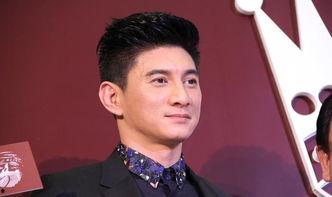 卓伟最新爆料吴奇隆,卓伟最新爆料揭秘真相